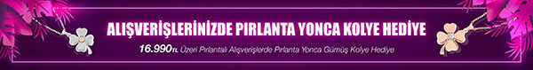 kampanya banner